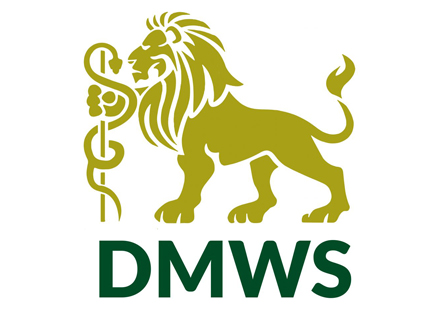 DMWS logo DMWS logo